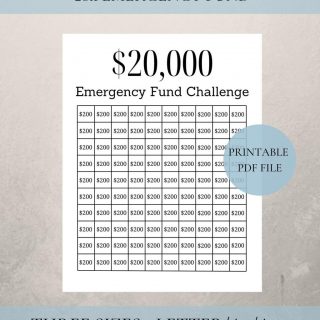 20000 Emergency Fund Challenge Savings Tracker Printable Etsy