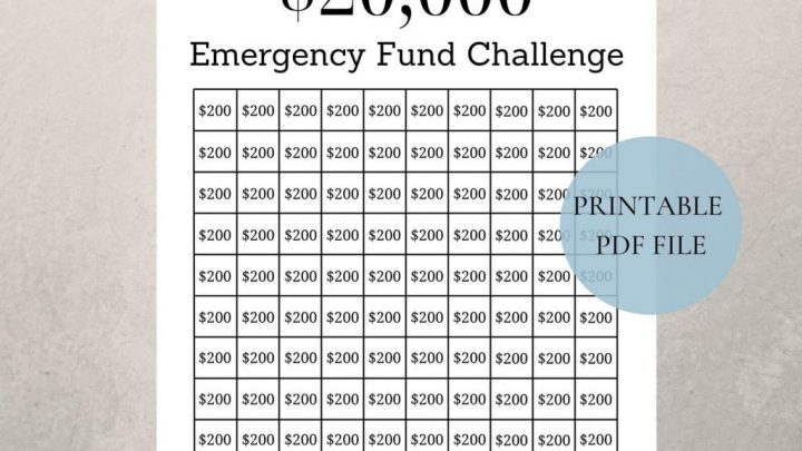 20000 Emergency Fund Challenge Savings Tracker Printable Etsy